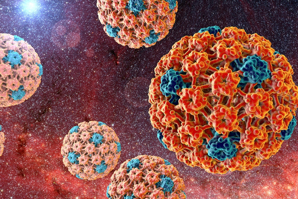 HPV – Current Researches and Innovations